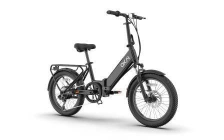 FlexMov EBF10 Folding EBike (Option: EBF10 Black)