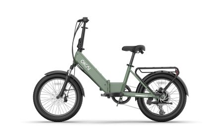 FlexMov EBF10 Folding EBike (Option: EBF10 Green)